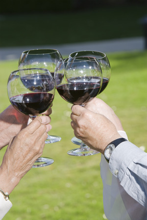 Four people raising toastの写真素材