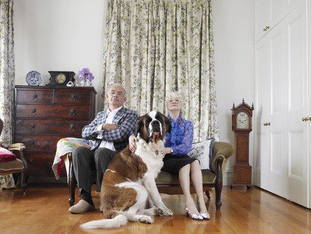Senior Couple with Their Dogの写真素材