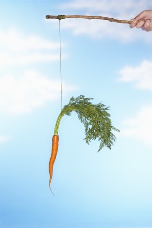 Person Dangling Carrot From Stickの写真素材