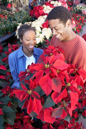 Couple choosing Poinsettias at floristsの写真素材
