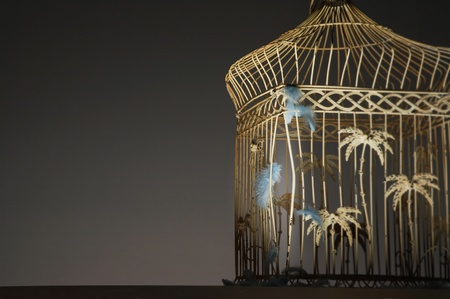 Empty birdcage with feathers and bent barsの写真素材