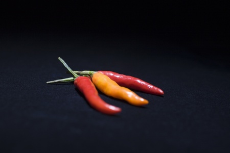 Three chilli peppersの写真素材