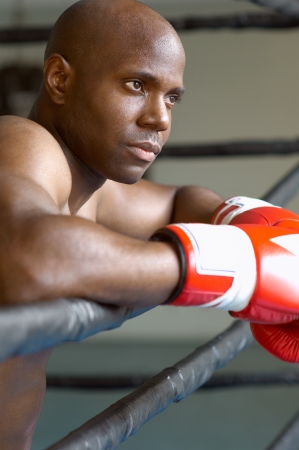 Boxer resting on boxing ring head and shouldersの写真素材