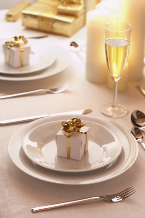 Place setting at Christmasの写真素材