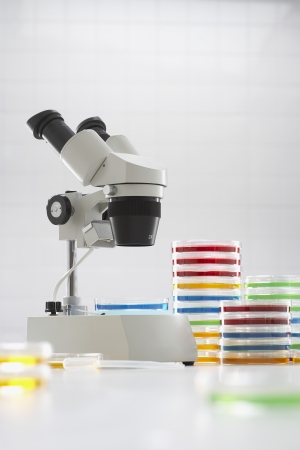 Microscope beside chemical samplesの写真素材