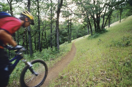 Biker riding on forest trail