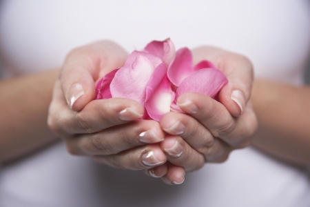 Woman Holding Pink Rose Petalsの写真素材