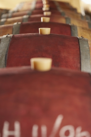 Wine casks lying down in order selective focusの写真素材