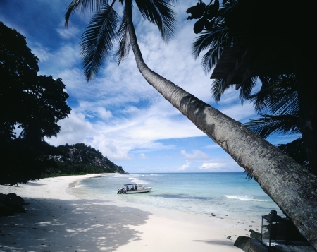Motorboat on Tropical Beachの写真素材