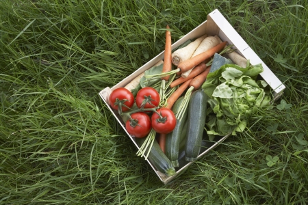 Crate of fresh vegetables on grass view from aboveの写真素材