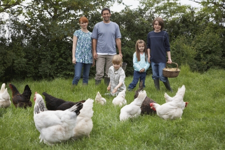 Parents with three children (5-9) feeding hens in gardenの写真素材