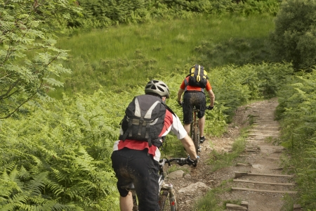 Two cyclists on track in countryside