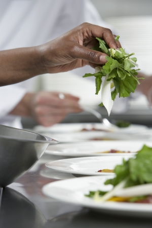 Chef preparing salad in kitchen close-upの写真素材