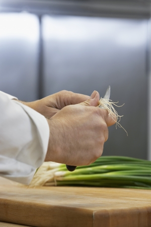 Chef chopping onion close-upの写真素材