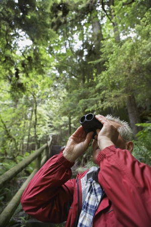 Senior man in forest looking up with binocularsの写真素材