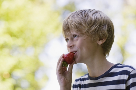 Boy (5-6) eating strawberry smilingの写真素材