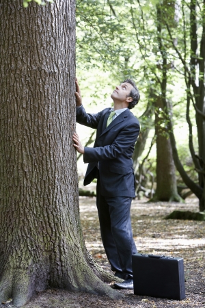 Business man stroking tree bark looking upの写真素材