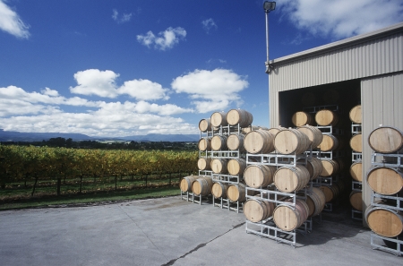 Wine stored in barrels at wineyard Yarra Valley Victoria Australia.の写真素材