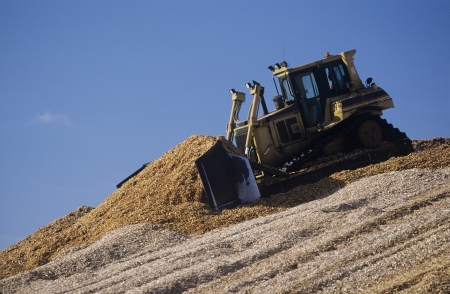 Plantation Eucalyptus (bluegum) trees being woodchipped for exportの写真素材