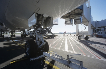 14890035,Outdoors,Day,Low Angle View,Mid...