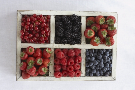 14910025,Day,Indoors,Food,View From Above,Container,Nobody,Healthy Eating,Fruit,Abundance,Variation,Order,Ripe,Fresh,Strawberry,Raspberry,Separation,red currant,Five a Day
, の写真素材