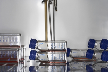 Bottles on laboratory fridge shelf close up