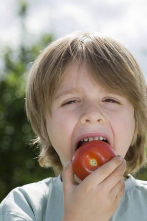 Boy eating tomato in garden portraitの写真素材