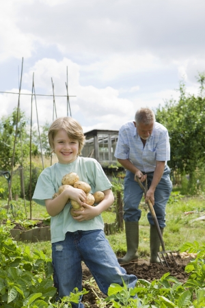 Boy gardening with grandfatherの写真素材