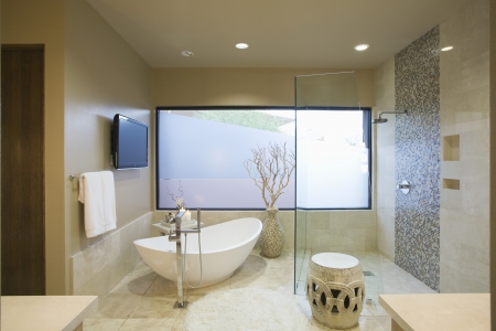 Palm Springs bathroom with freestanding bathの写真素材