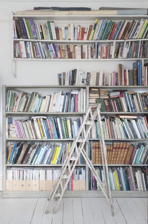 Step ladders and shelves of booksの写真素材