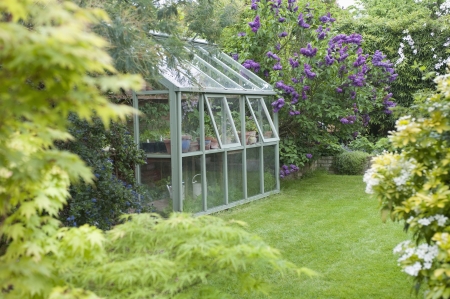 Greenhouse in back garden with open windows for ventilationの写真素材