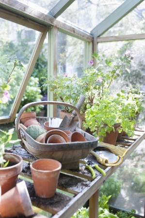 Gardening equipment on workbench in potting shedの写真素材