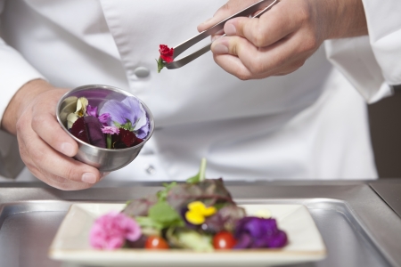 Mid- adult chef arranges edible flowers on saladの写真素材