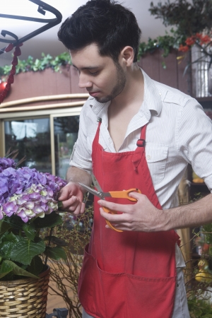 Florist stands cutting hydrangeaの写真素材