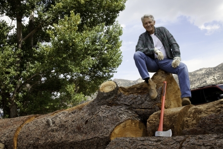 Low angle view of man sitting on a huge tree trunkの写真素材