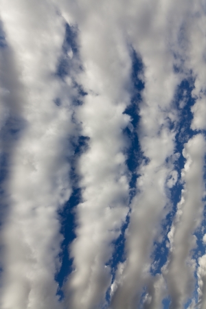 Overcast skyの写真素材