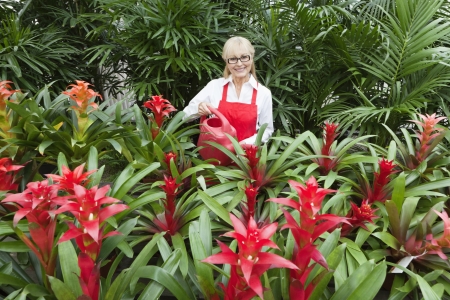 Portrait of a happy senior florist watering plants in greenhouseの写真素材