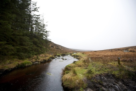 Stream running through Wicklow National Parkの写真素材