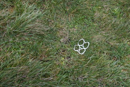 Plastic can rings littered on grassの写真素材