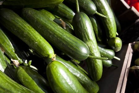 Close up of cucumberの写真素材