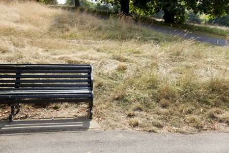 Empty park bench at park