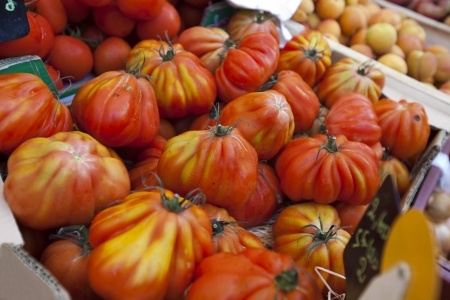 Close-up of tomatoes on display in storeの写真素材