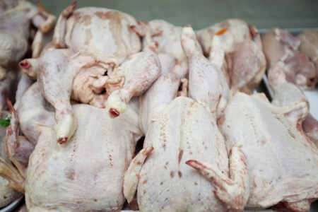 Raw chickens in supermarketの写真素材