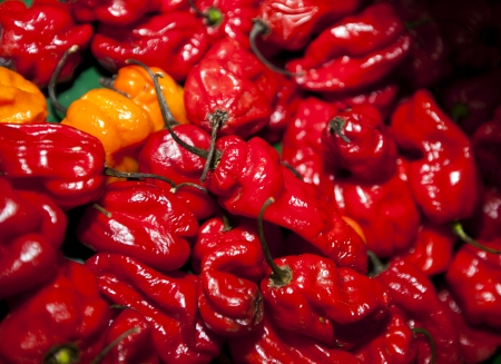 Close-up of red chillies in grocery storeの写真素材