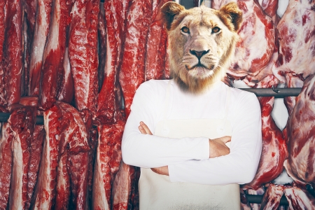 Butcher with a lion head with arms folded standing in front of red meat の写真素材