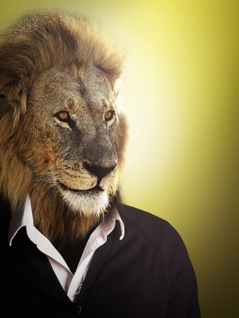 Lion dressed up with a shirt and jumperの写真素材