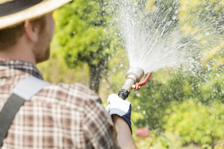 Rear view of gardener watering plants at gardenの写真素材