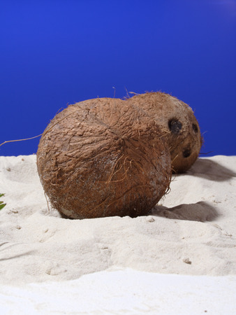 Close up of coconut on sandの写真素材
