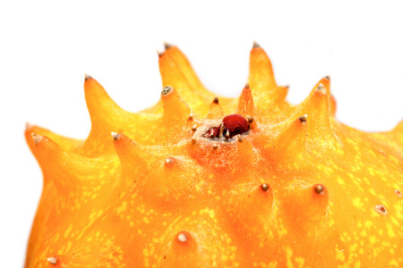 Close up of kiwano - studio shot