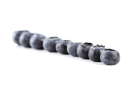 Blueberries in row - close-upの写真素材